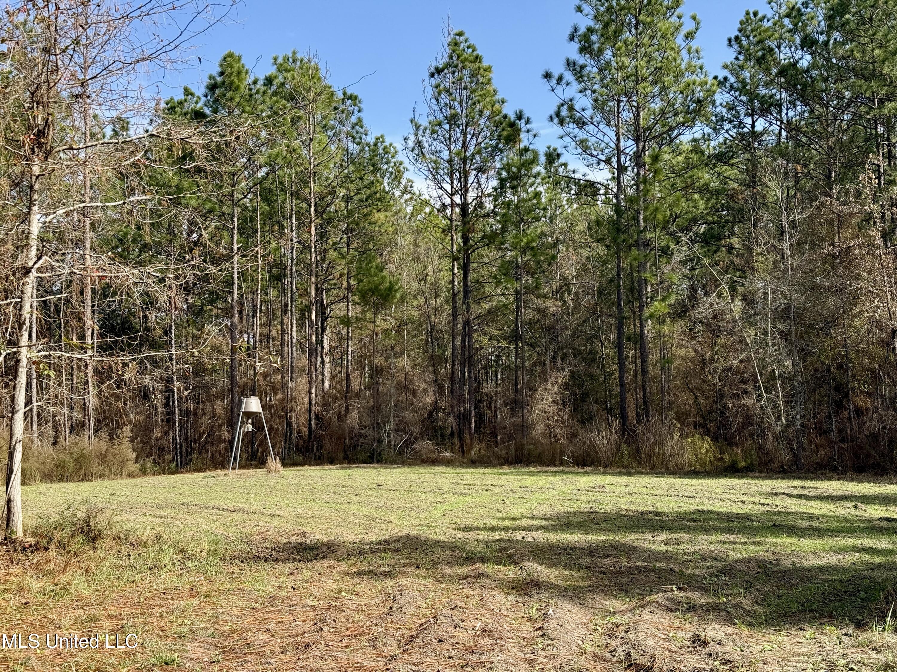 3947 Purvis Columbia Road Purvis, MS 39475 - Photo 27 of 44 IMG_9243