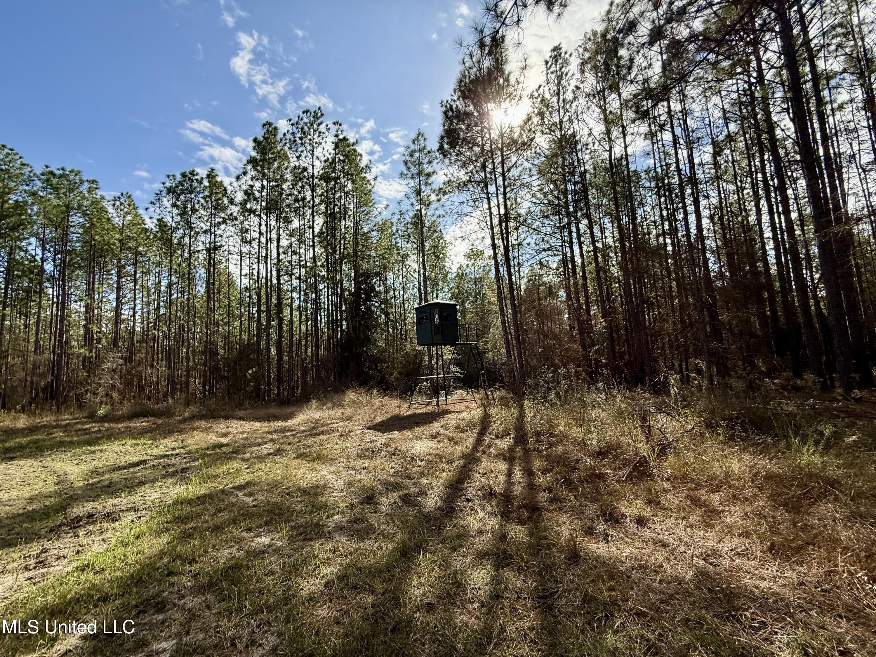 3947 Purvis Columbia Road Purvis, MS 39475 - Photo 28 of 44 IMG_9242