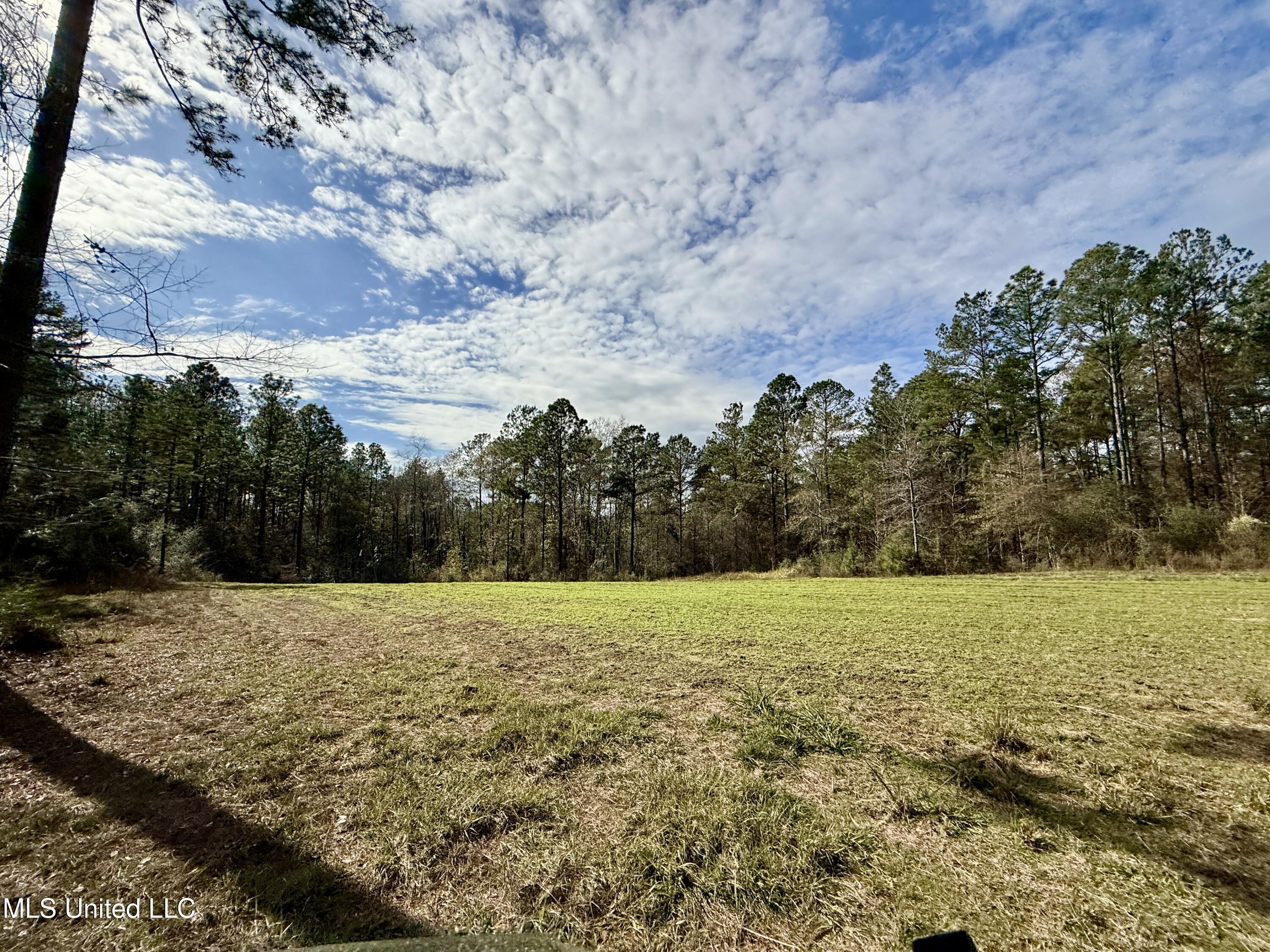 3947 Purvis Columbia Road Purvis, MS 39475 - Photo 29 of 44 IMG_9237