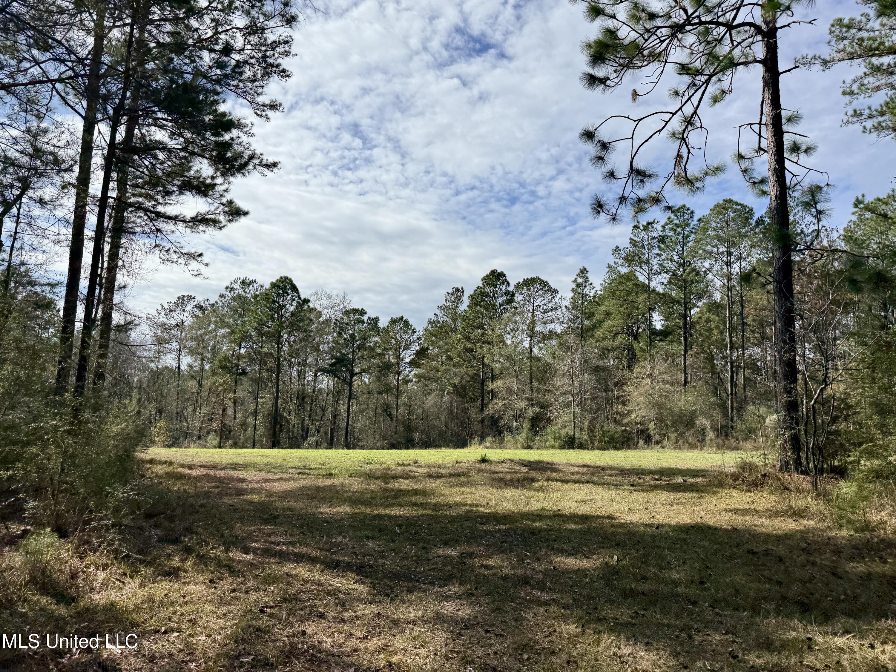 3947 Purvis Columbia Road Purvis, MS 39475 - Photo 30 of 44 IMG_9236