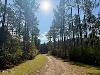 $975,000 | 3947 Purvis Columbia Road, Purvis, MS 39475