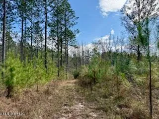 $975,000 | 3947 Purvis Columbia Road, Purvis, MS 39475