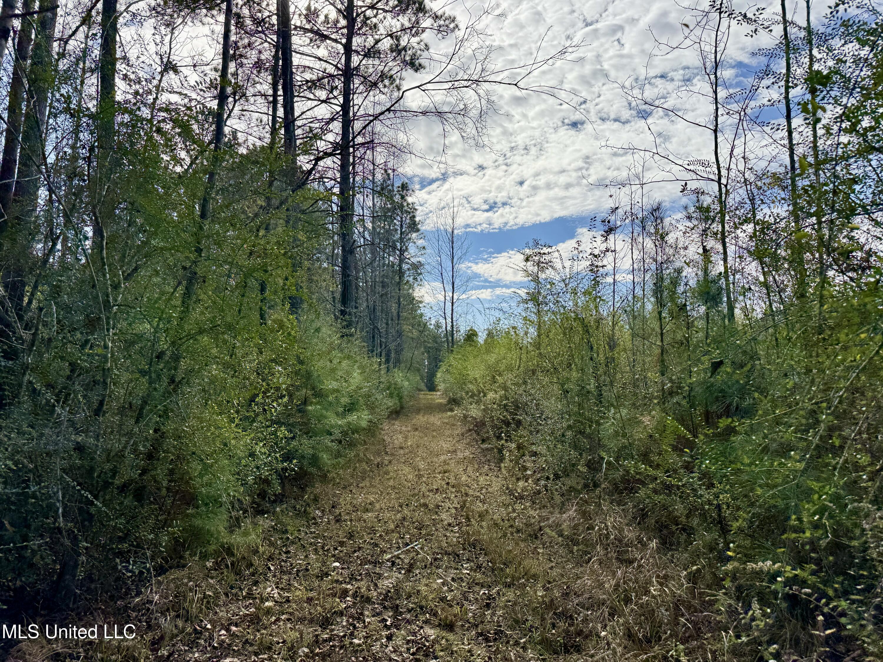 3947 Purvis Columbia Road Purvis, MS 39475 - Photo 34 of 44 IMG_9231