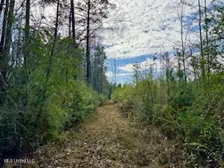 $975,000 | 3947 Purvis Columbia Road, Purvis, MS 39475