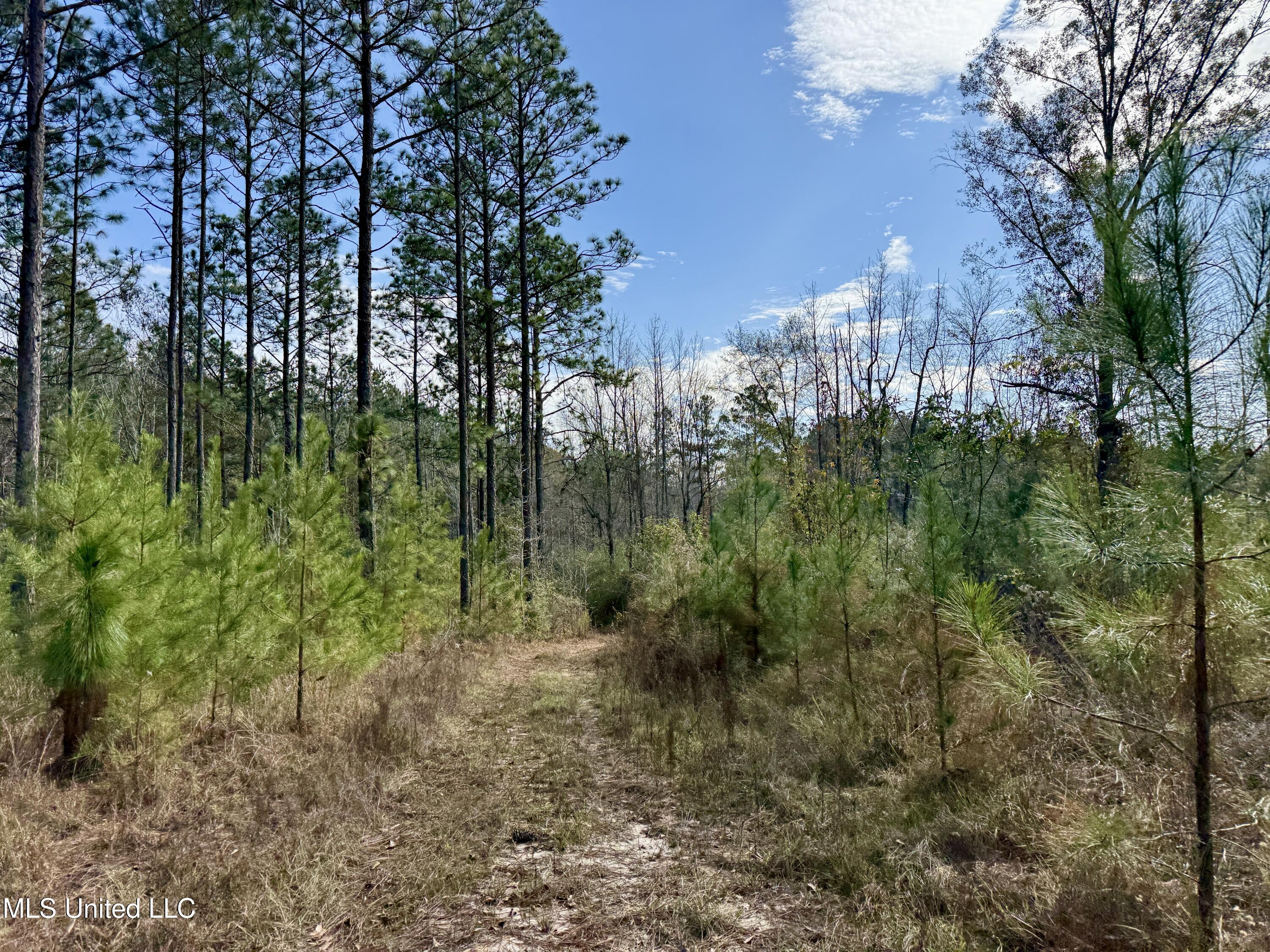 3947 Purvis Columbia Road Purvis, MS 39475 - Photo 35 of 44 IMG_9229