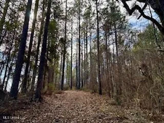 $975,000 | 3947 Purvis Columbia Road, Purvis, MS 39475