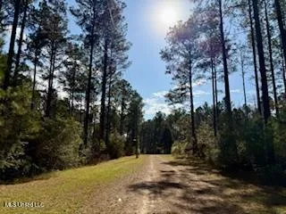 $975,000 | 3947 Purvis Columbia Road, Purvis, MS 39475