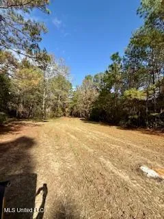 $975,000 | 3947 Purvis Columbia Road, Purvis, MS 39475