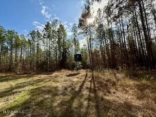 $975,000 | 3947 Purvis Columbia Road, Purvis, MS 39475