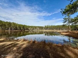 $975,000 | 3947 Purvis Columbia Road, Purvis, MS 39475