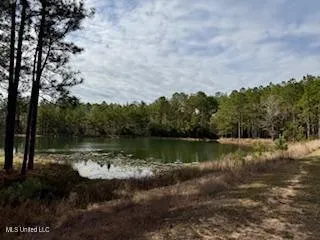 $975,000 | 3947 Purvis Columbia Road, Purvis, MS 39475