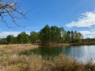 $975,000 | 3947 Purvis Columbia Road, Purvis, MS 39475