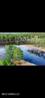 $975,000 | 3947 Purvis Columbia Road, Purvis, MS 39475