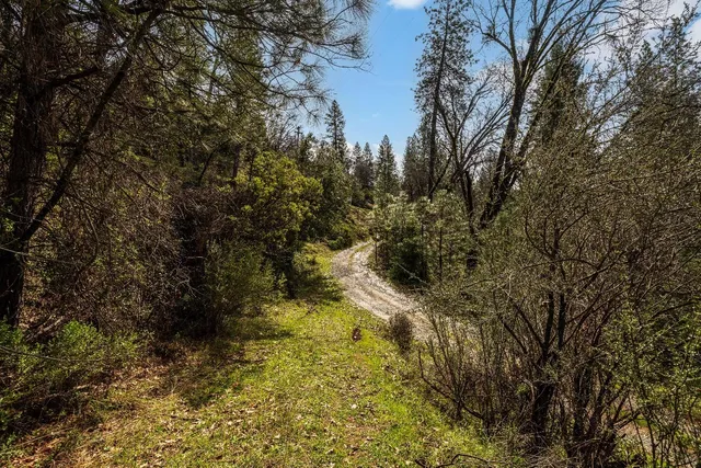 a backyard of a house with large trees