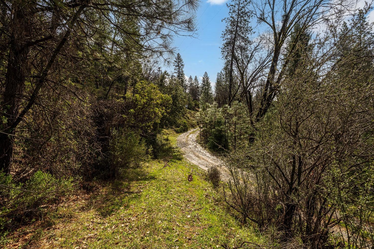 1767 Swansboro Road Placerville, CA 95667 - Photo 19 of 22