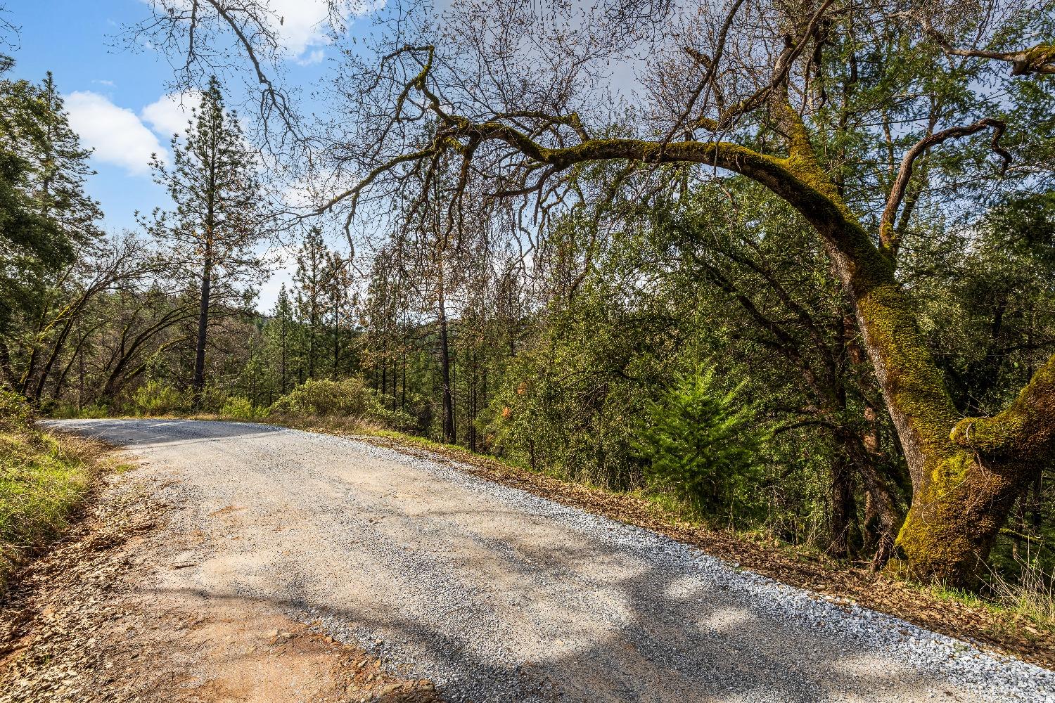 1767 Swansboro Road Placerville, CA 95667 - Photo 20 of 22