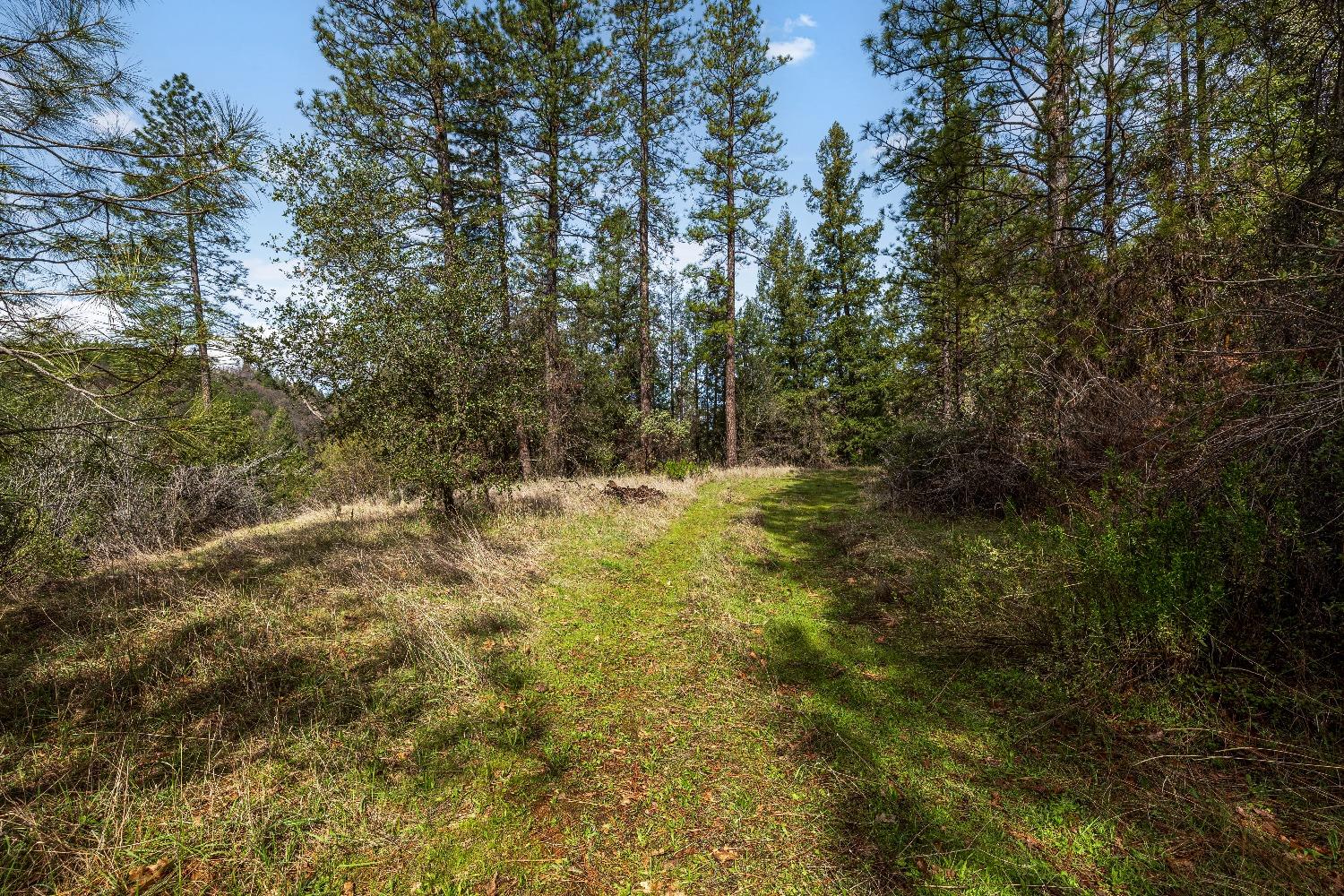 1767 Swansboro Road Placerville, CA 95667 - Photo 2 of 22