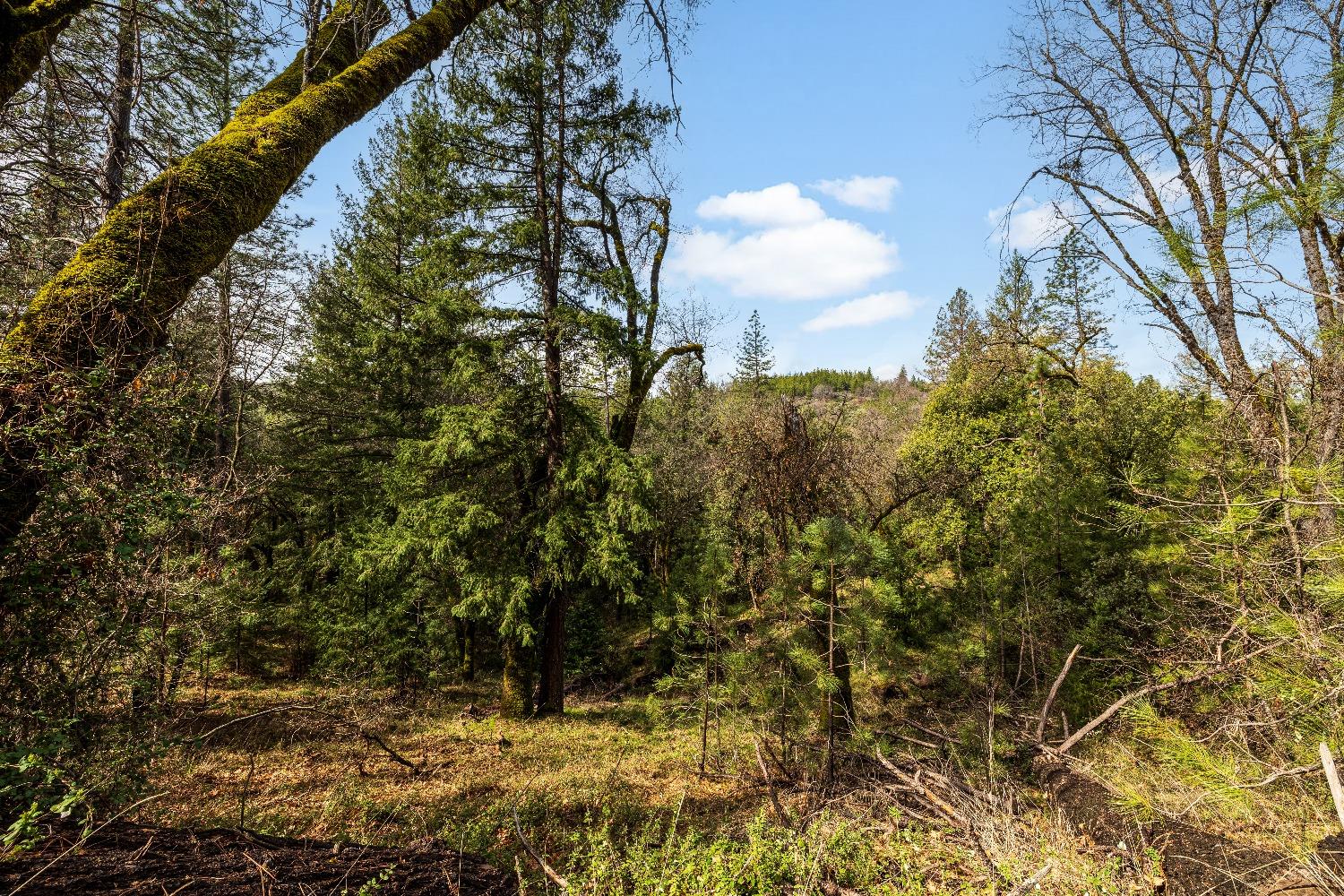 1767 Swansboro Road Placerville, CA 95667 - Photo 4 of 22