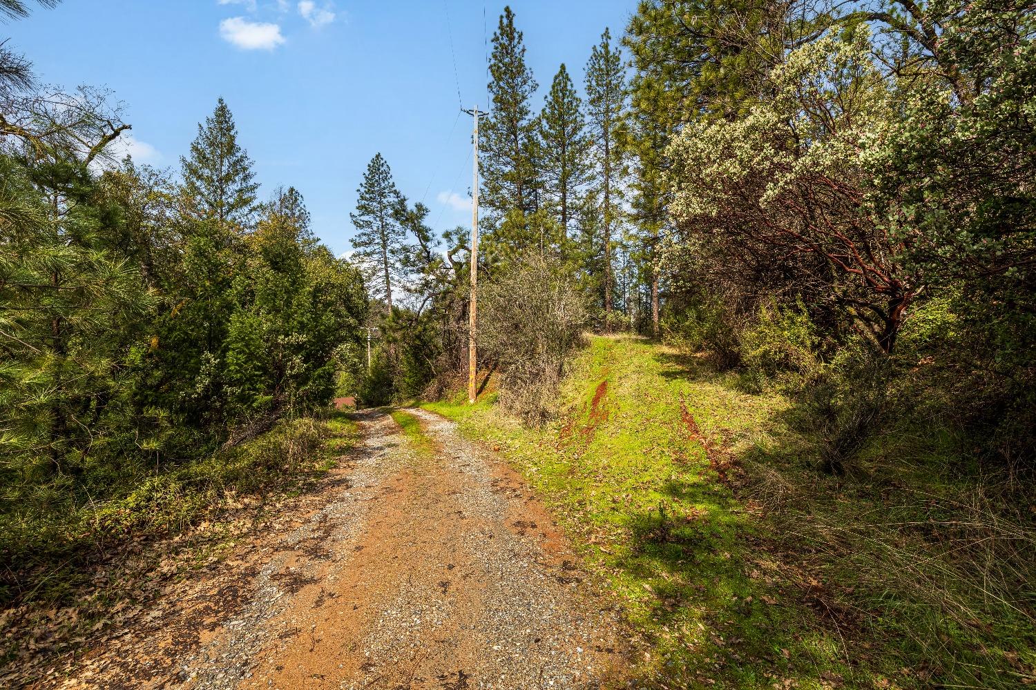 1767 Swansboro Road Placerville, CA 95667 - Photo 5 of 22