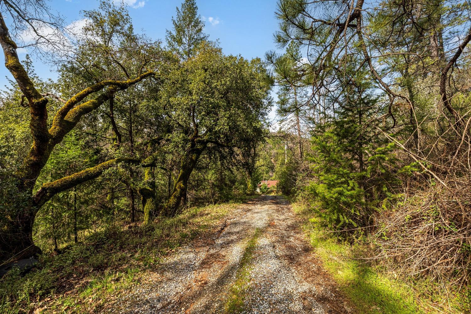 1767 Swansboro Road Placerville, CA 95667 - Photo 6 of 22