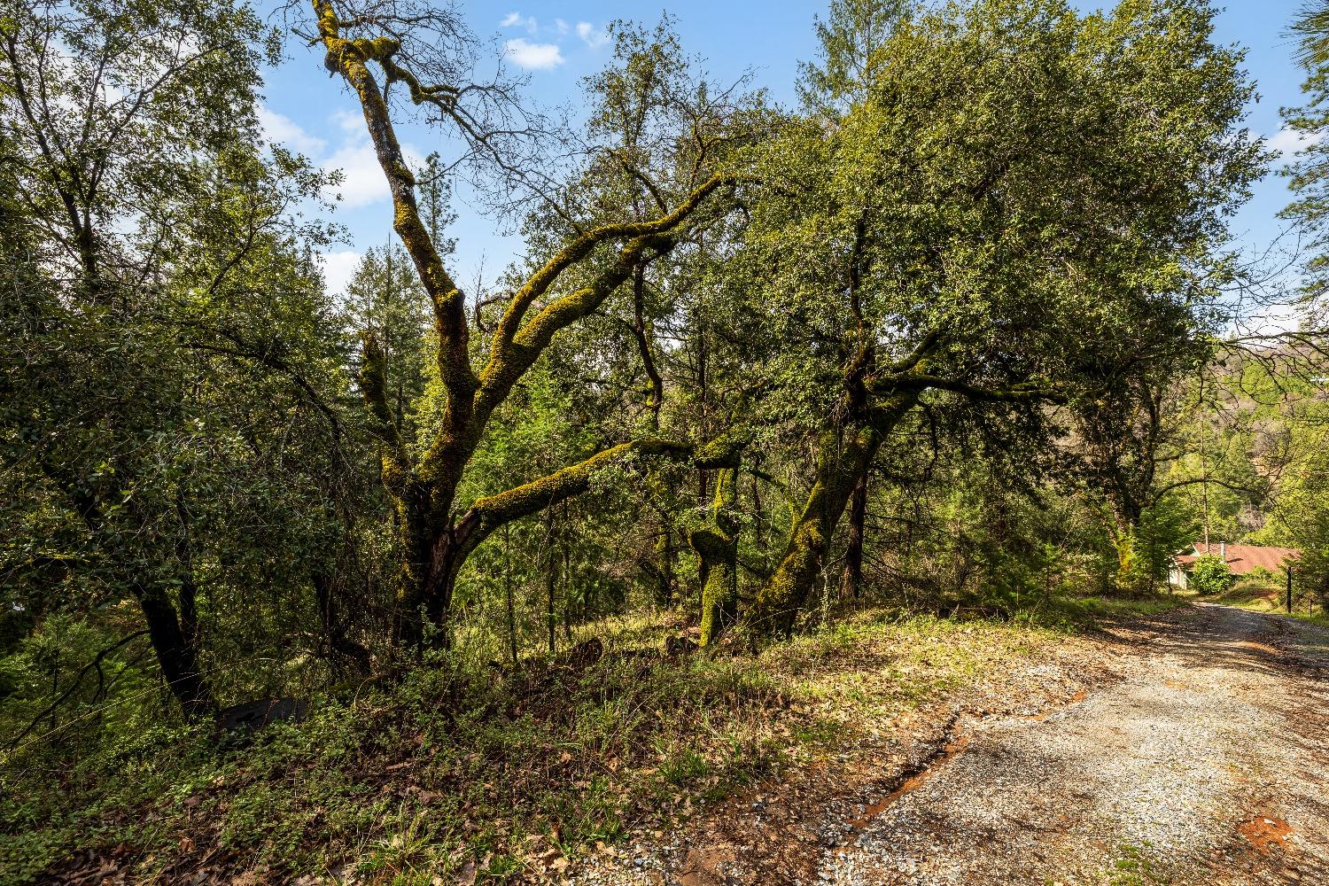 1767 Swansboro Road Placerville, CA 95667 - Photo 7 of 22