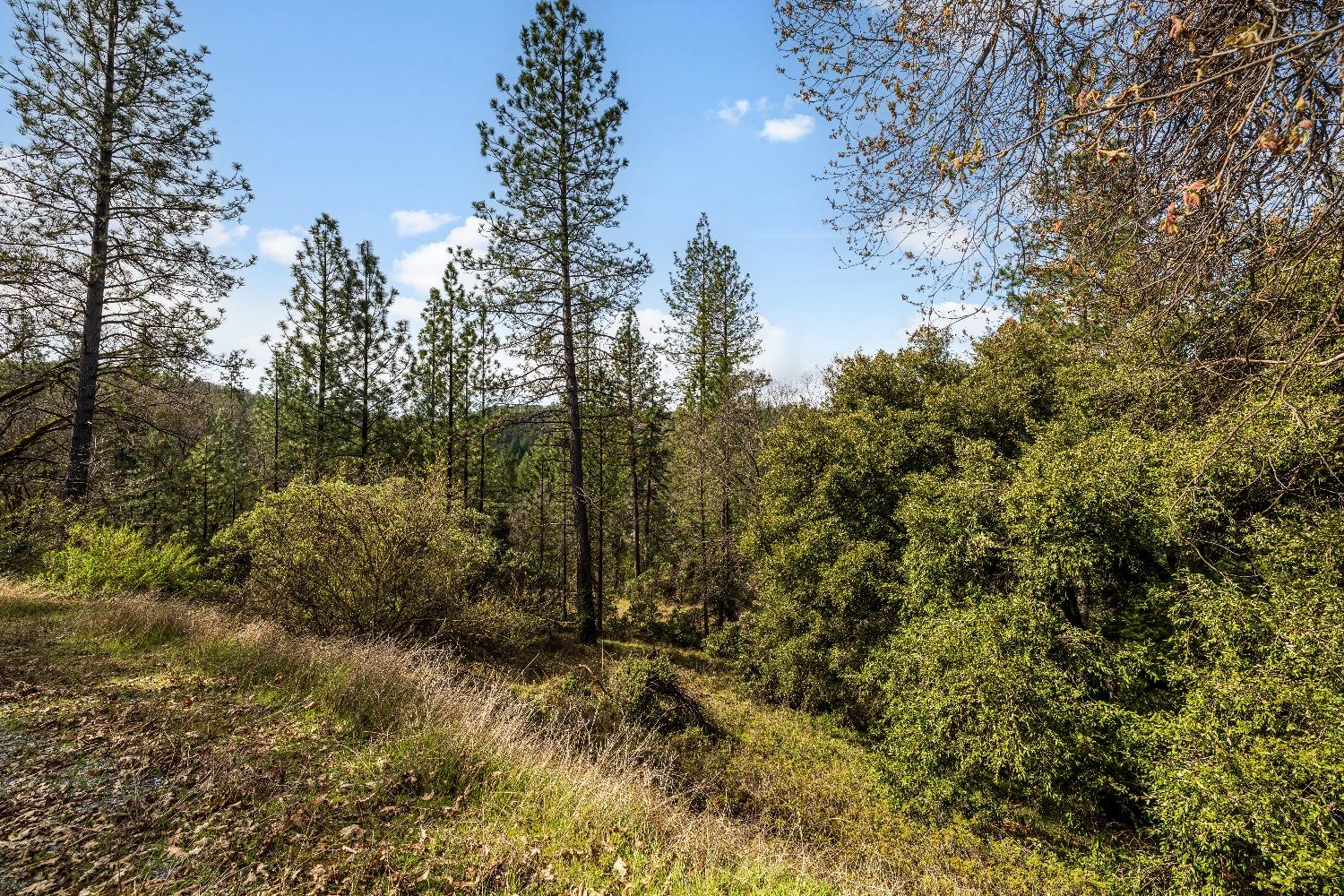 1767 Swansboro Road Placerville, CA 95667 - Photo 8 of 22