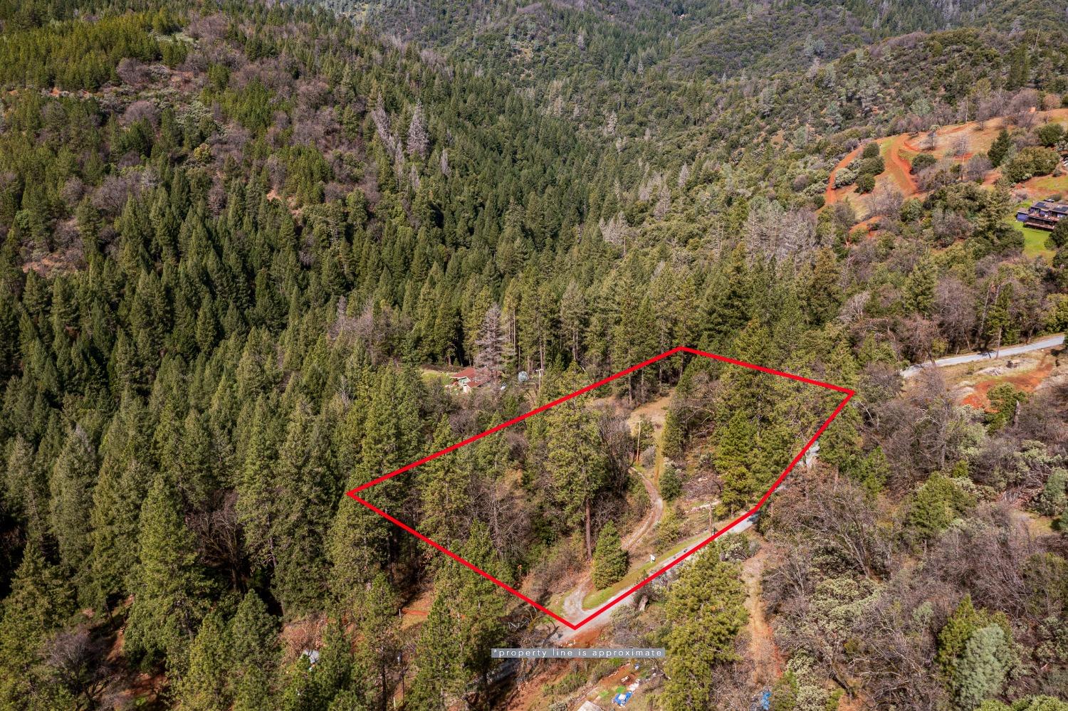 1767 Swansboro Road Placerville, CA 95667 - Photo 9 of 22