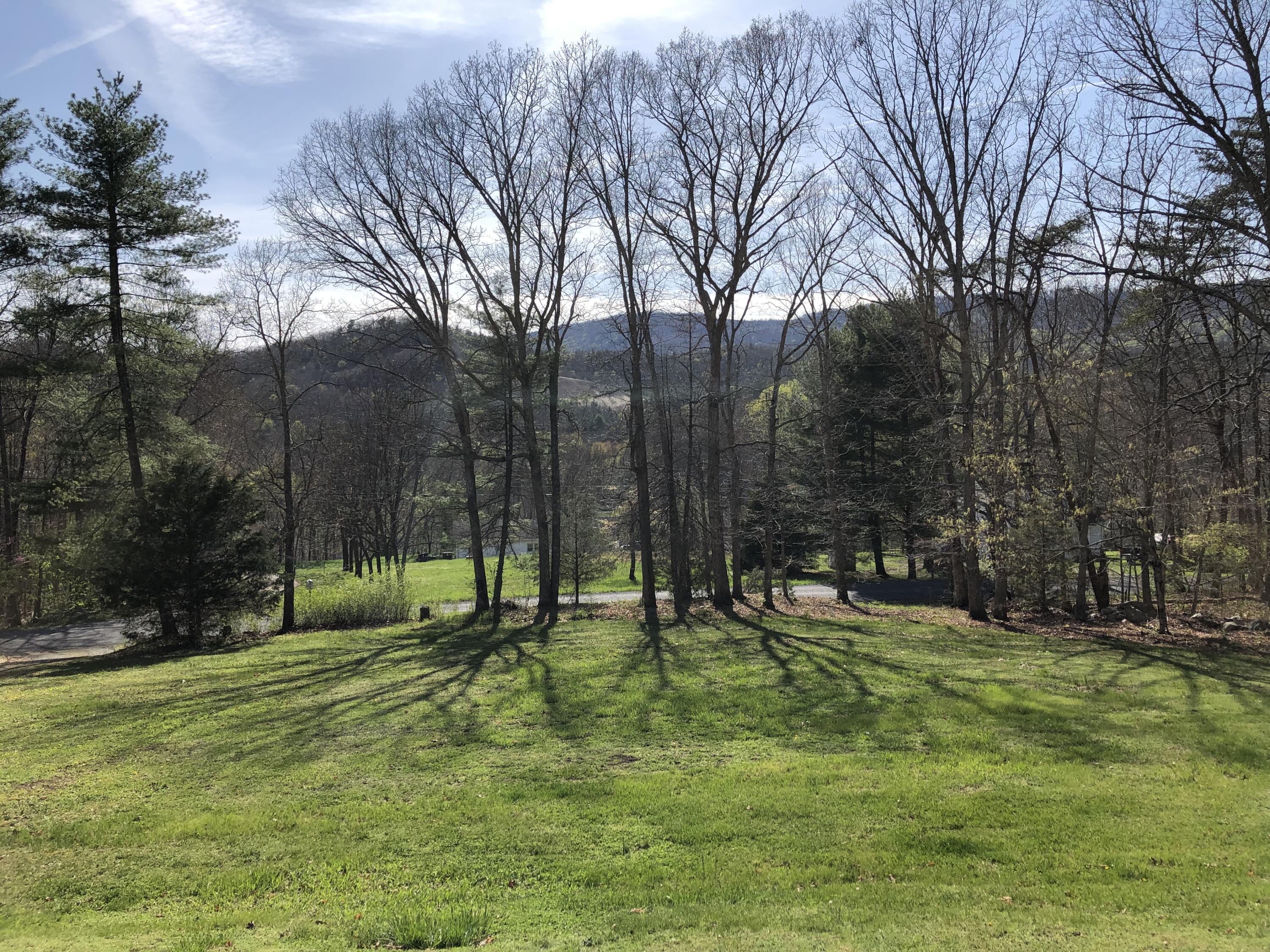 913 Dunbrack Road Covington, VA 24426 - Photo 4 of 18 View from the front door