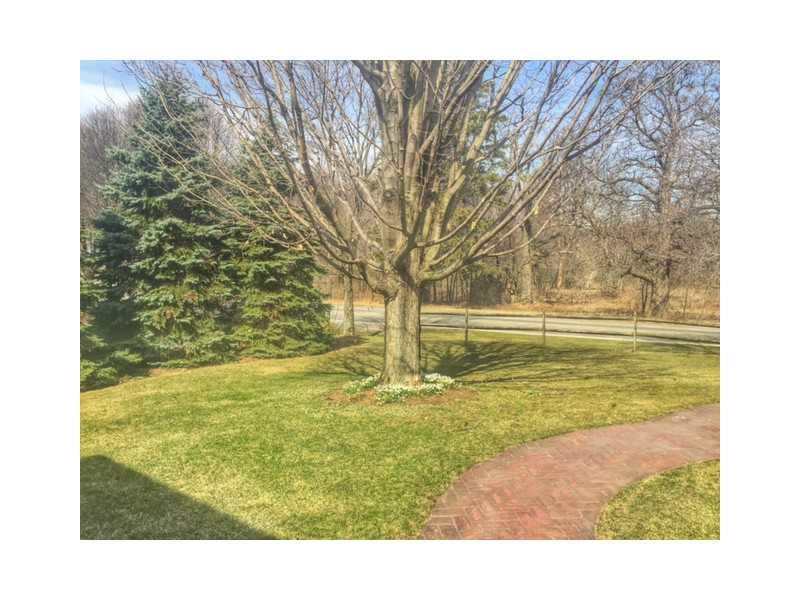 4640 Lucerne Road Indiana, PA 15701 - Photo 17 of 18 Yard/Garden.