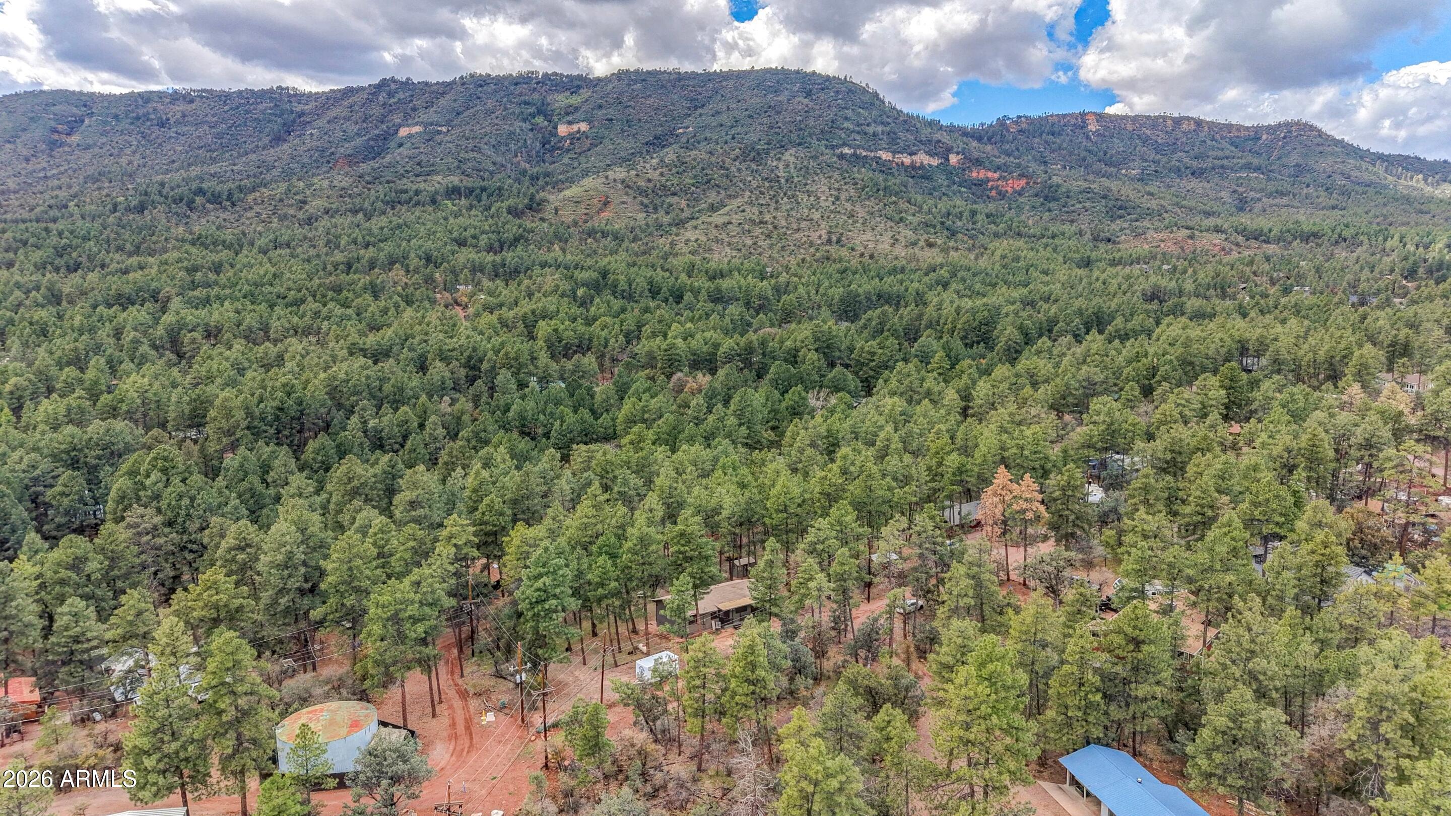 3830 Pine Road Pine, AZ 85544 - Photo 31 of 31 mls-DJI_20260401150636_0907_D_8_D_9_D co