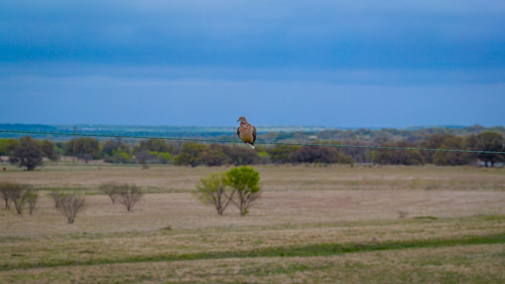 348 Blau Lane Hext, TX 76848 - Photo 87 of 94