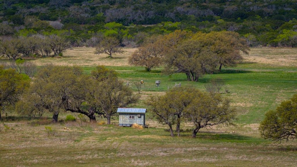 348 Blau Lane Hext, TX 76848 - Photo 91 of 94