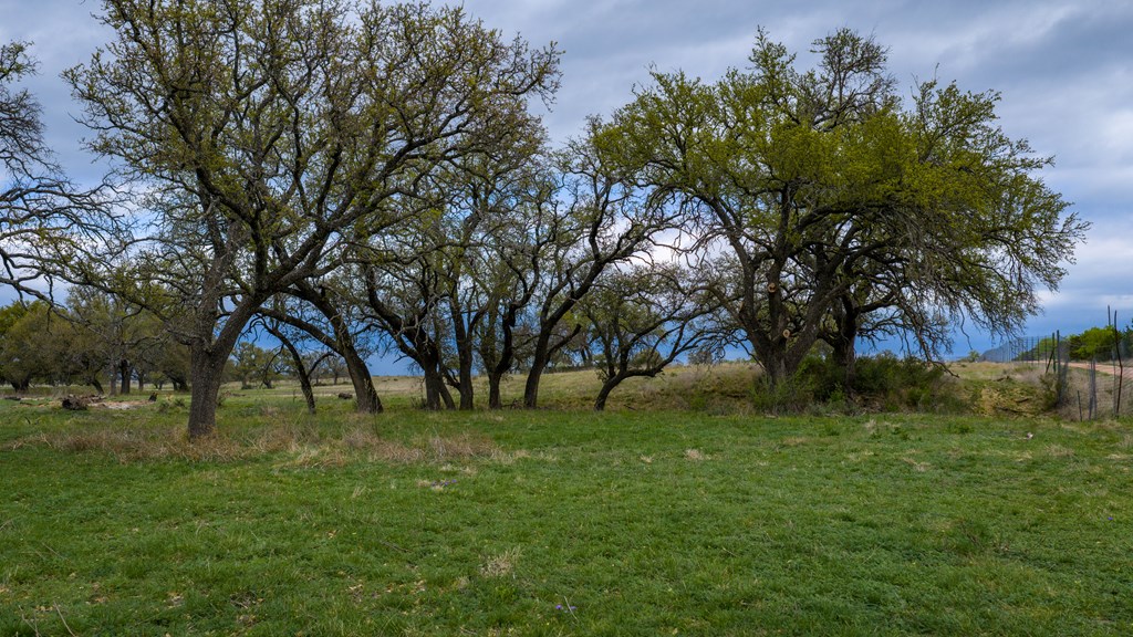 348 Blau Lane Hext, TX 76848 - Photo 93 of 94