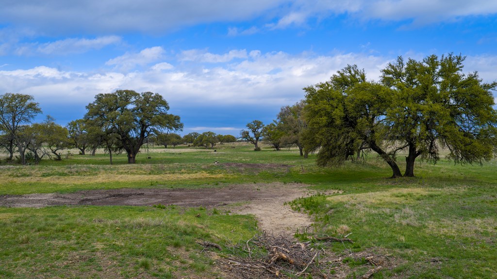 348 Blau Lane Hext, TX 76848 - Photo 94 of 94