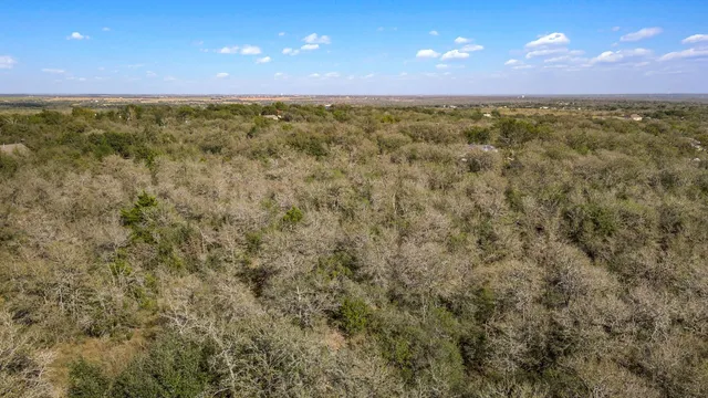 a view of a city with lush green forest