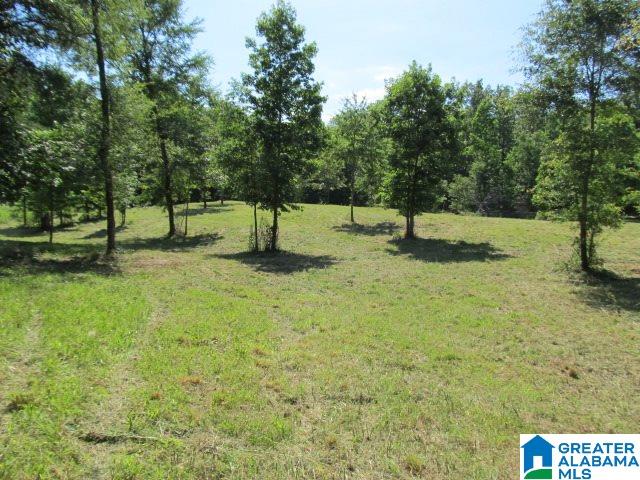 0 Choctaw Trail, Unit 10 Hayden, AL 35079 - Photo 3 of 24