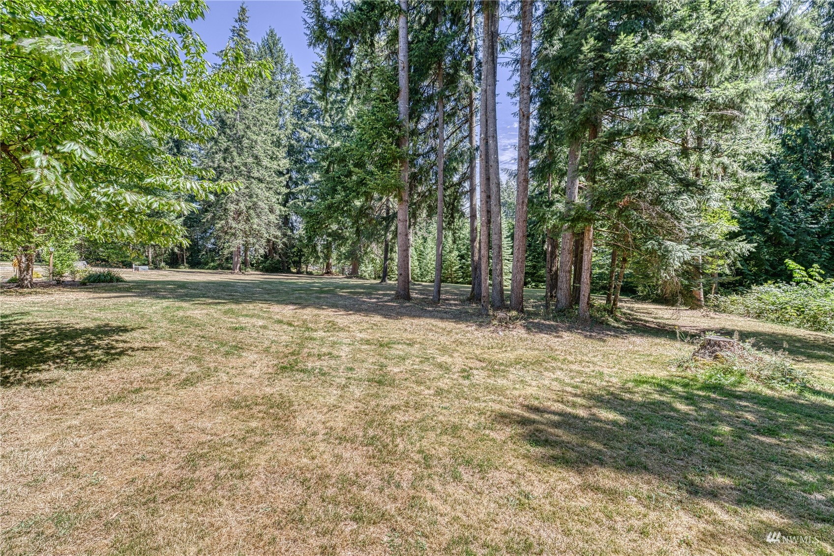325 Hawkins Road Winlock, WA 98596 - Photo 26 of 40 a view of outdoor space with trees