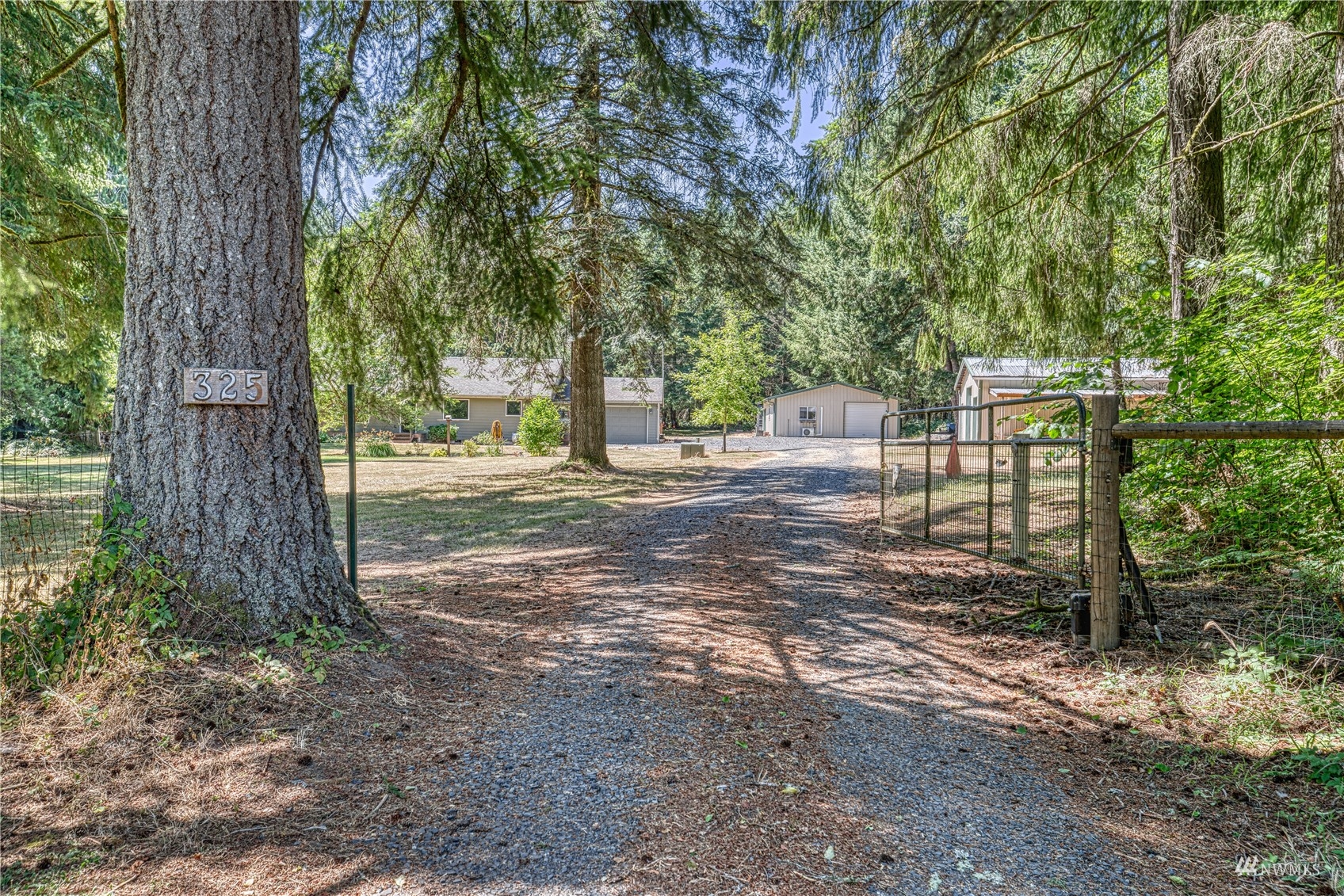 325 Hawkins Road Winlock, WA 98596 - Photo 39 of 40 a view of a tree in the middle of a yard