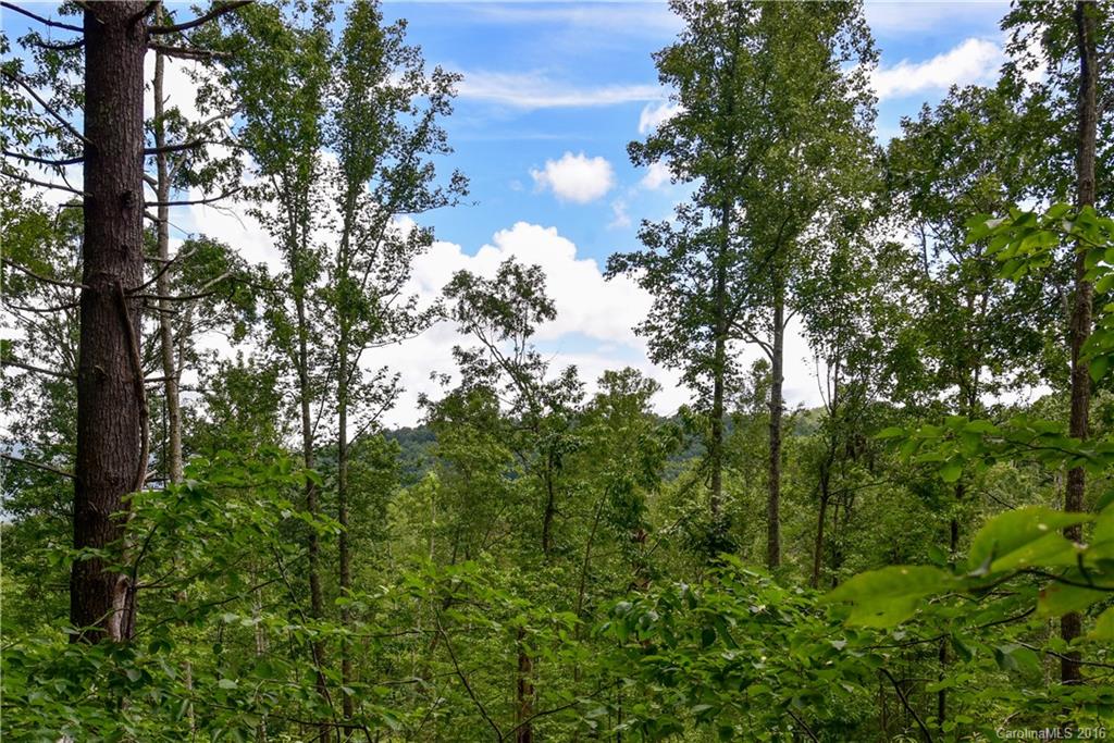 2174 Riceville Road, Unit 3 Asheville, NC 28805 - Photo 1 of 3 Gallery Image 1