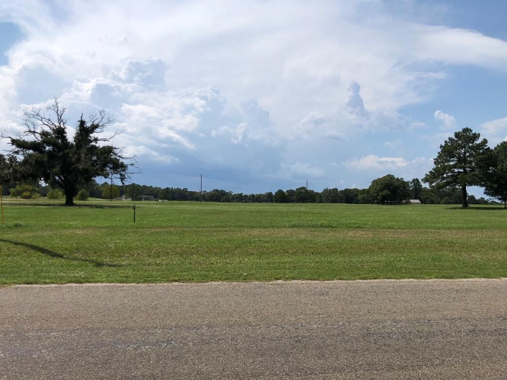 Na Charleston Street Trinity, TX 75862 - Photo 2 of 10