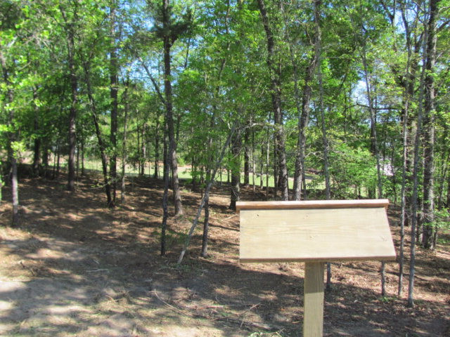 201 Lady Banks Road Aiken, SC 29803 - Photo 6 of 6