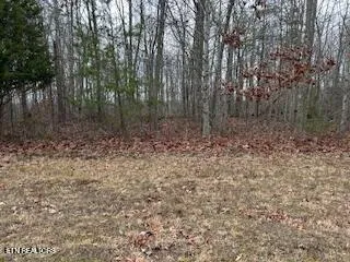 $132,500 | 50148 Buckeye Lane, Crawford, TN 38554
