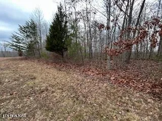 $132,500 | 50148 Buckeye Lane, Crawford, TN 38554