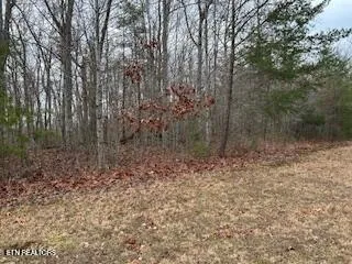 $132,500 | 50148 Buckeye Lane, Crawford, TN 38554