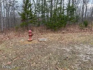 $132,500 | 50148 Buckeye Lane, Crawford, TN 38554