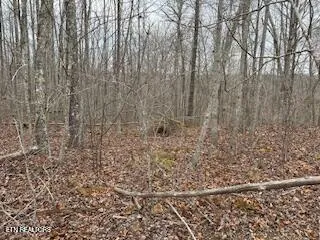 $132,500 | 50148 Buckeye Lane, Crawford, TN 38554