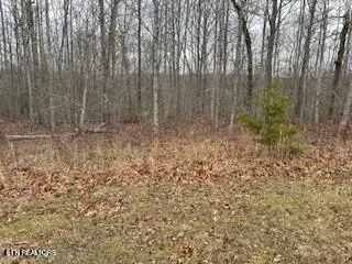 $132,500 | 50148 Buckeye Lane, Crawford, TN 38554