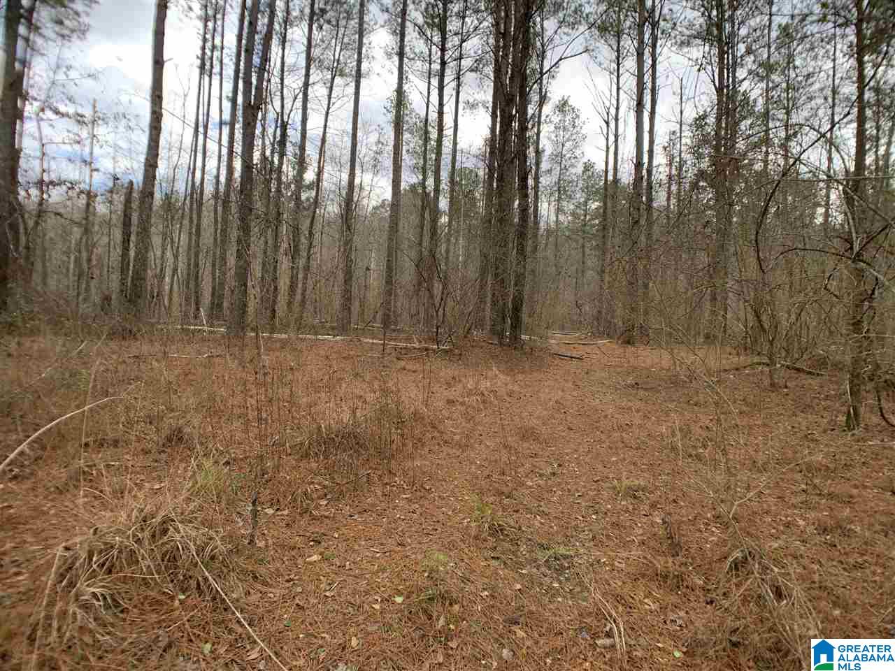 0 Possum Trot Road Piedmont, AL 36272 - Photo 2 of 13