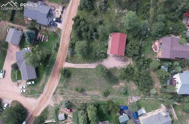 a view of a park with large trees