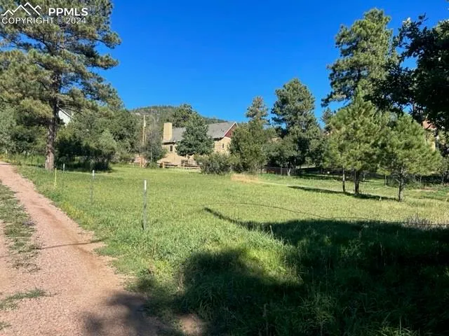 a view of a yard with a tree